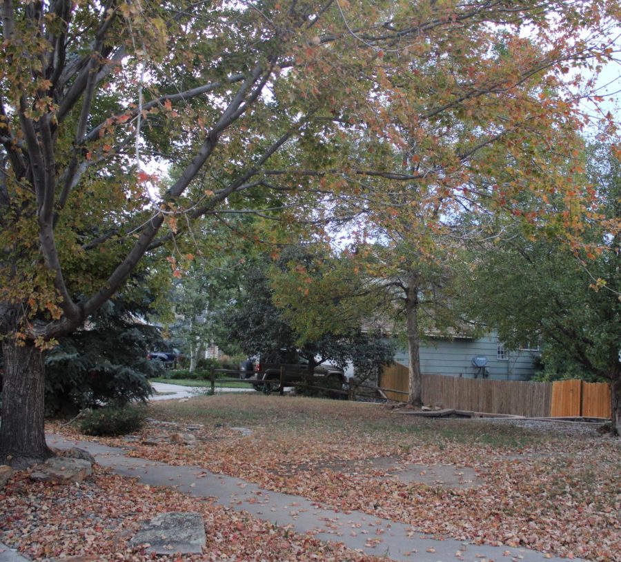 As October ends and November begins, leaves turn brown and fall off the trees. As autumn’s annual visit concludes, students welcome winter’s arrival. ”It’s the worst day of my life, my favorite season is ending!" Samuel Partin says in response to falls departure.