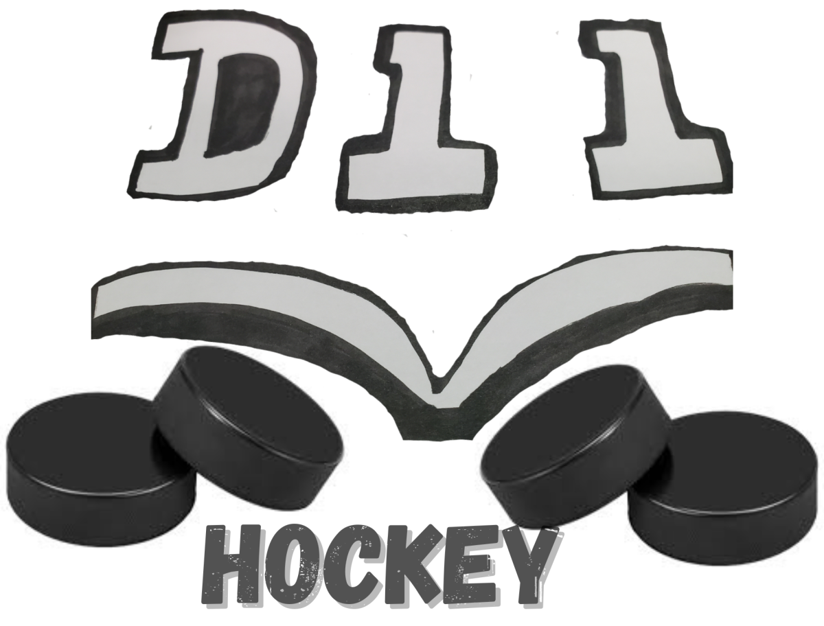 This year Doherty Hockey is now a part of the District 11 Hockey team.