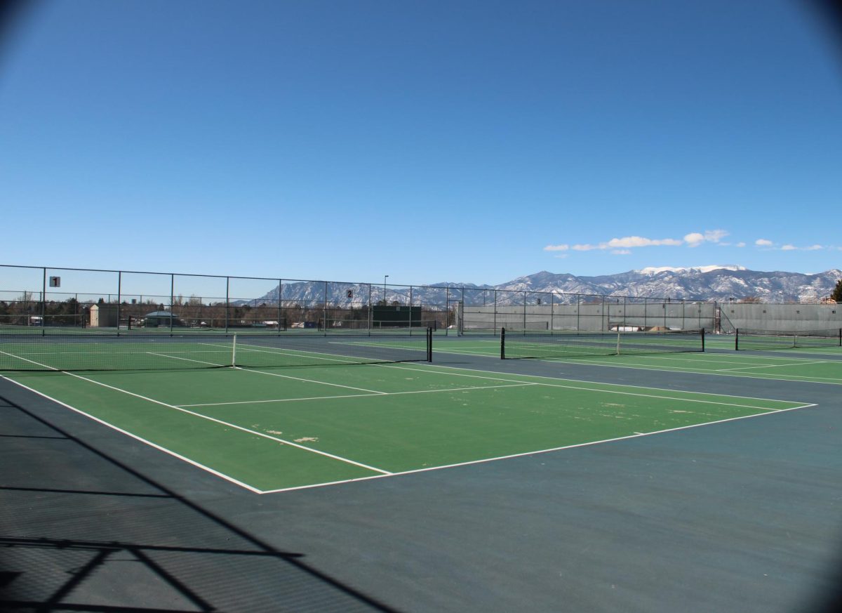 Overview of the tennis court