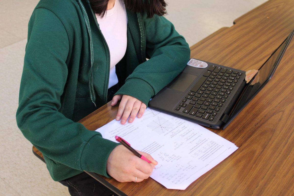 Freshman Marley Winters studying for her final in Math.