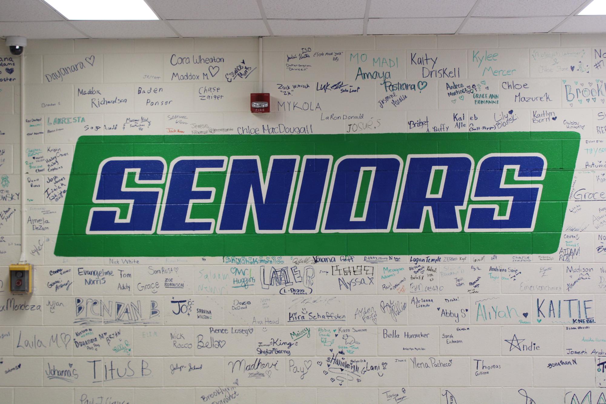 Celebrating Seniors